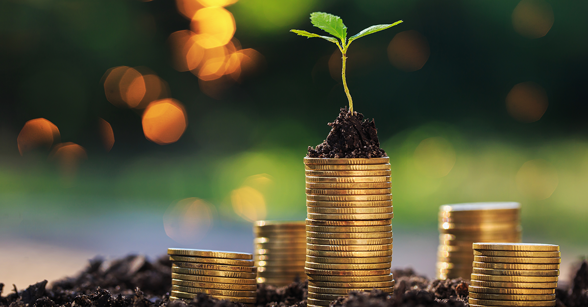 plant growing on top of a stack of coins